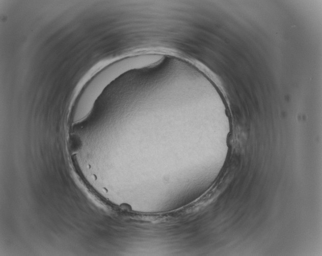 X0000083971005200703161526