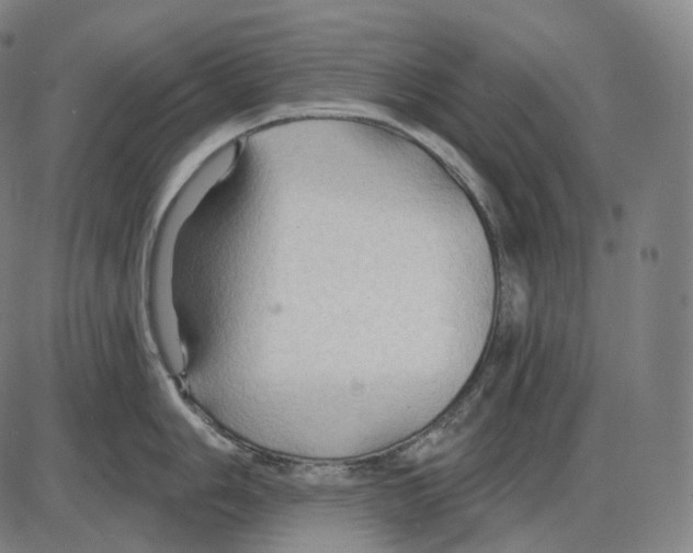 X0000083971006200703161526