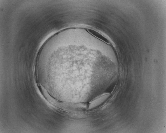 X0000083971007200703161526