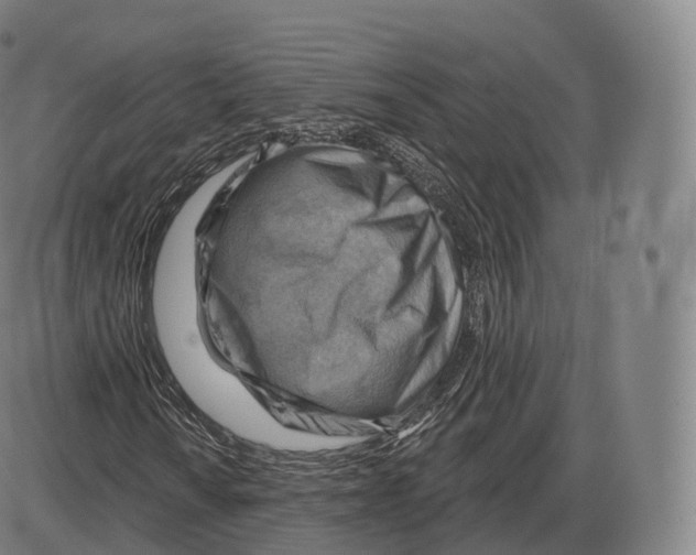 X0000083971010200703161525