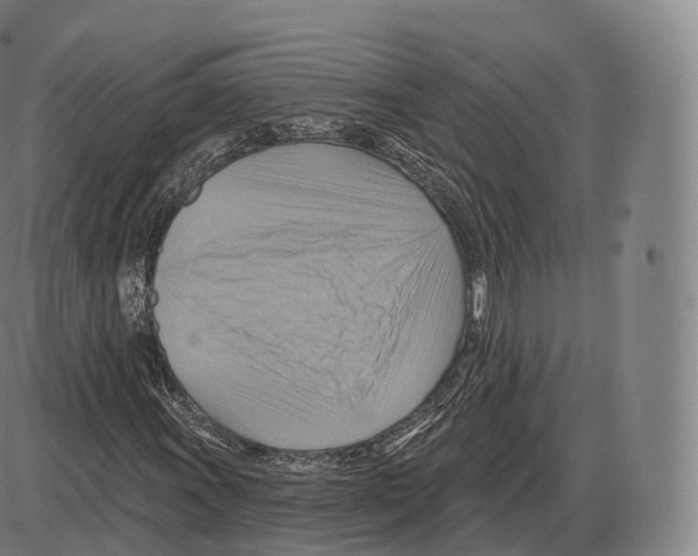 X0000083971011200703161526