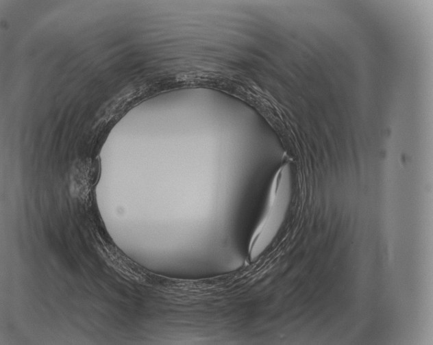 X0000083971012200703161526