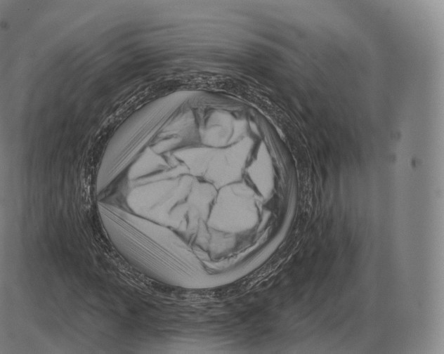 X0000083971013200703161526