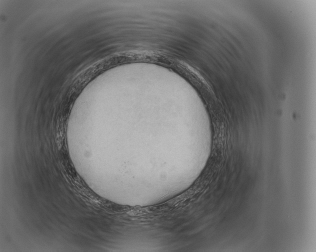 X0000083971015200703161526