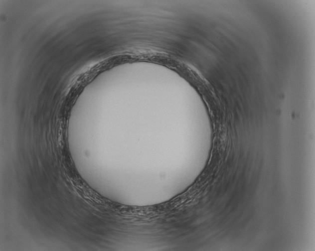 X0000083971016200703161526