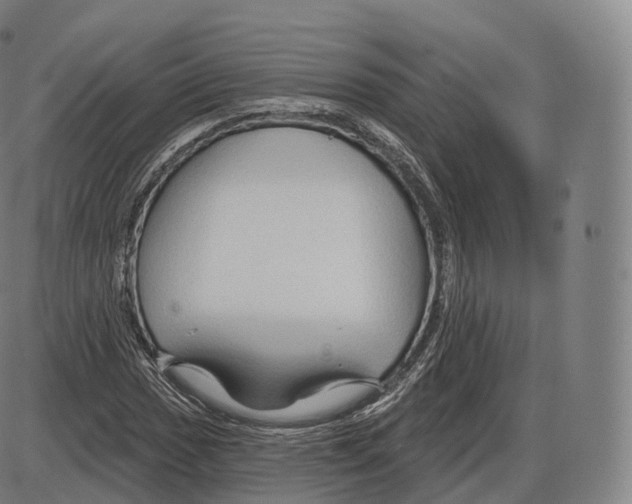 X0000083971017200703161526