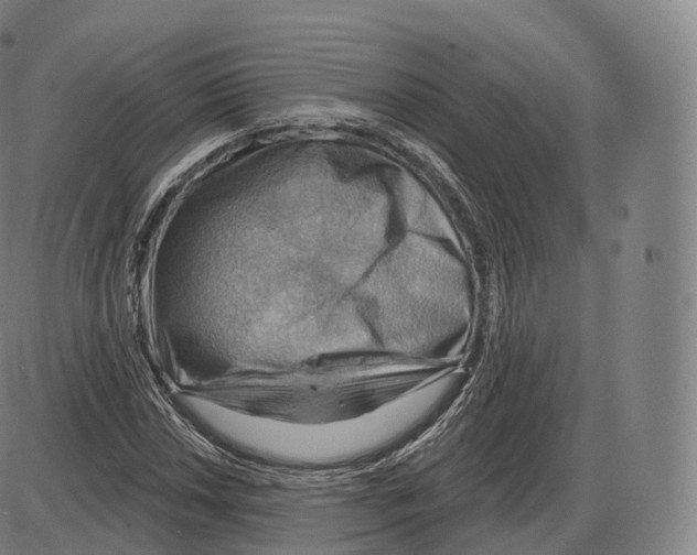 X0000083971018200703161526