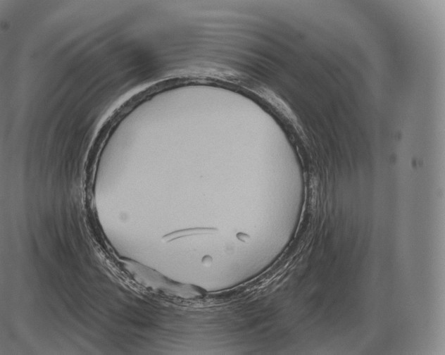 X0000083971020200703161526