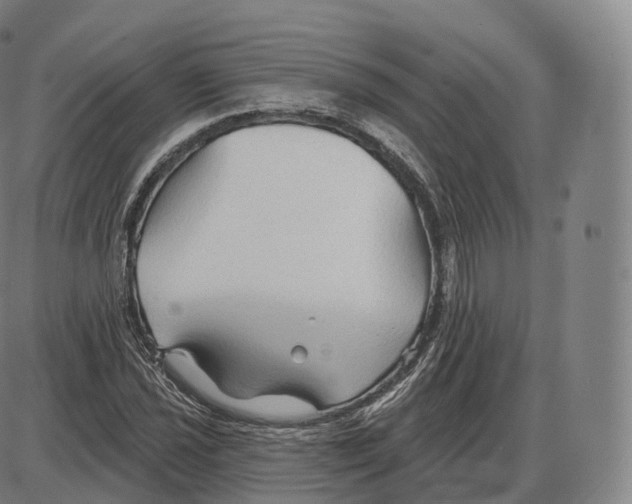 X0000083971021200703161526