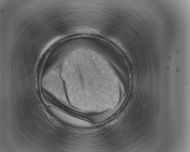 X0000083971022200703161526