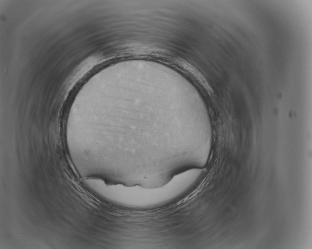 X0000083971023200703161526