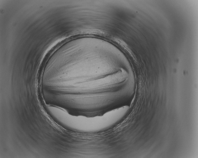 X0000083971024200703161526