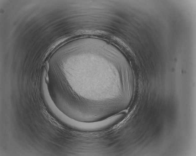 X0000083971025200703161526