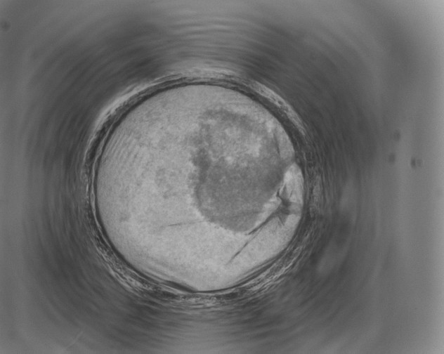 X0000083971027200703161526