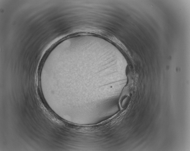 X0000083971028200703161526