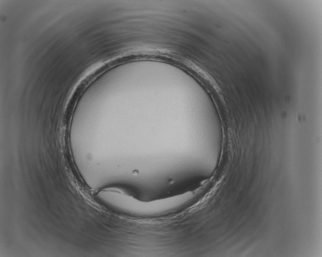 X0000083971029200703161526