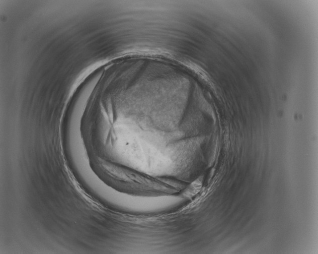 X0000083971030200703161526