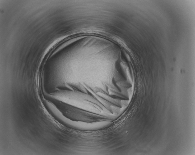 X0000083971032200703161526