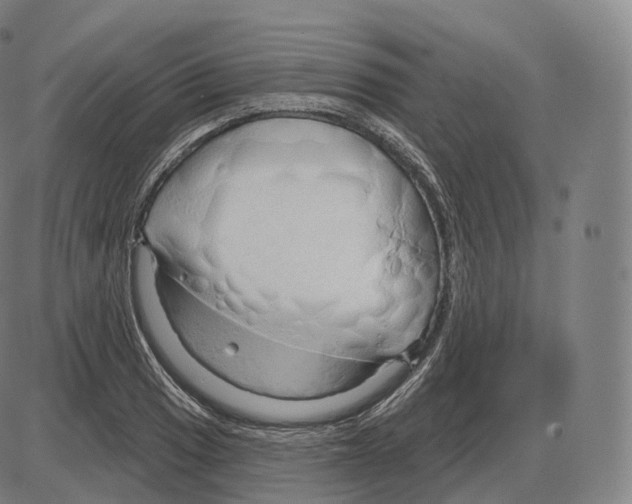 X0000083971033200703161526