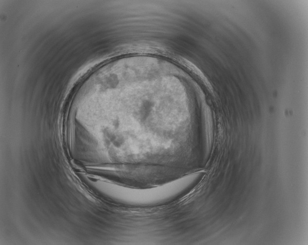 X0000083971035200703161526