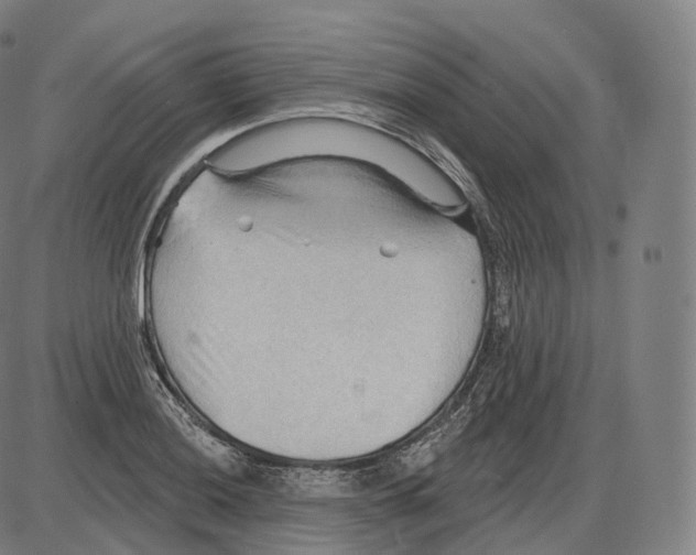 X0000083971036200703161526