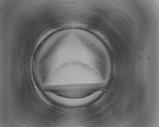 X0000083971039200703161526