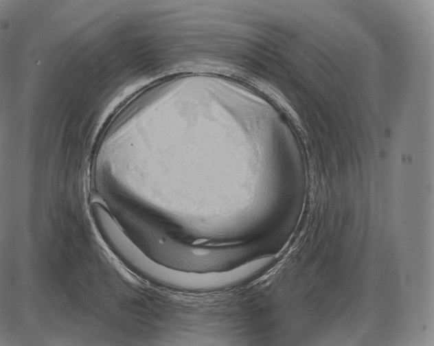 X0000083971040200703161526