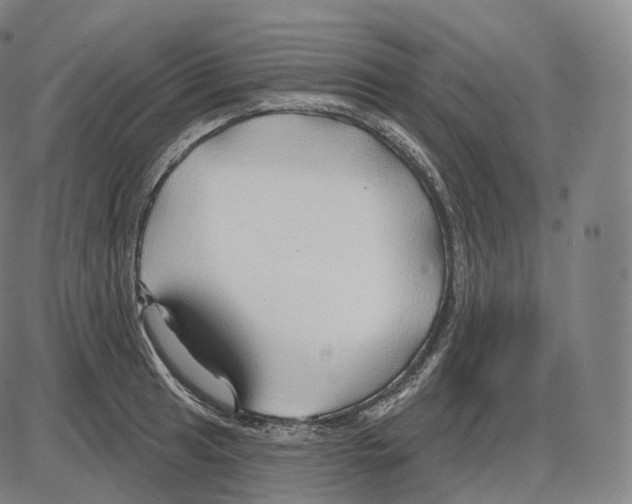 X0000083971041200703161526