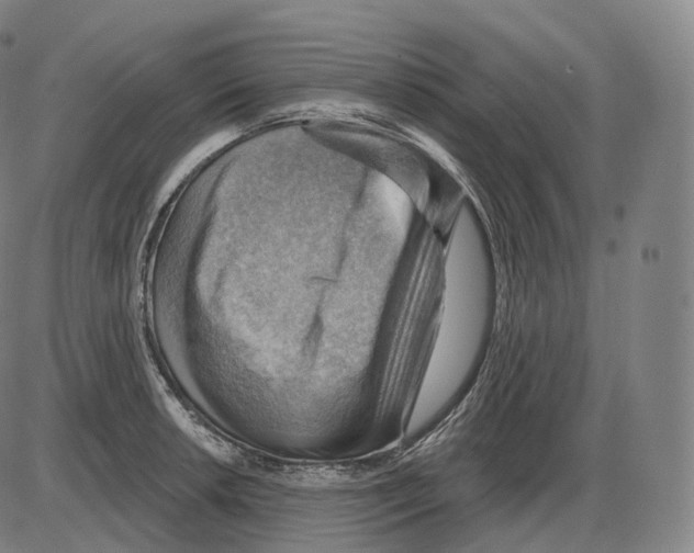 X0000083971042200703161526