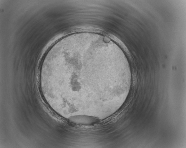 X0000083971043200703161526