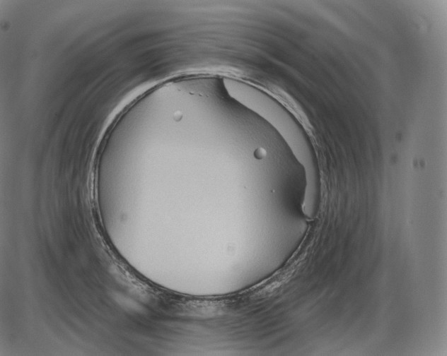 X0000083971044200703161526