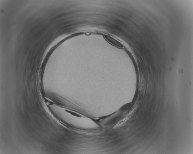 X0000083971045200703161526