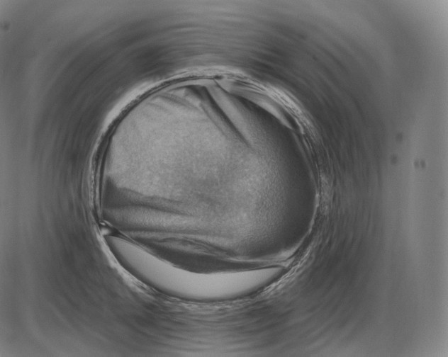 X0000083971046200703161526