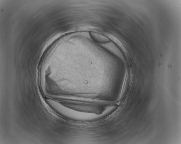 X0000083971047200703161526