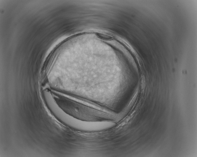 X0000083971048200703161526