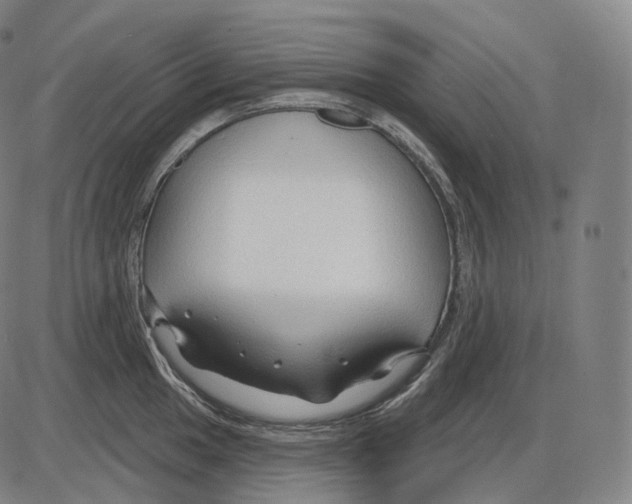 X0000083971049200703161526