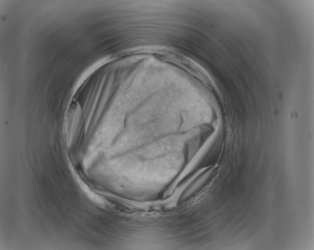 X0000083971050200703161526