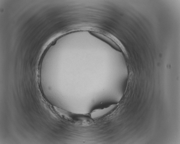 X0000083971051200703161526