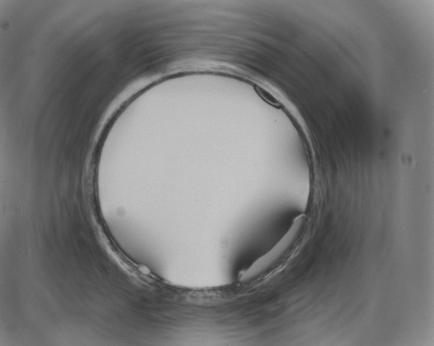 X0000083971053200703161526