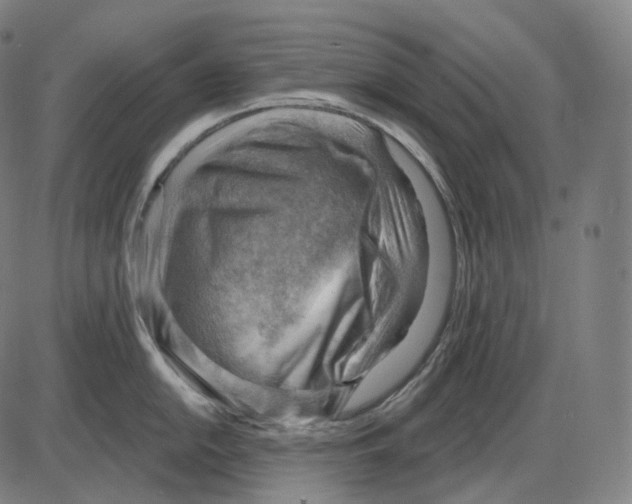 X0000083971054200703161526