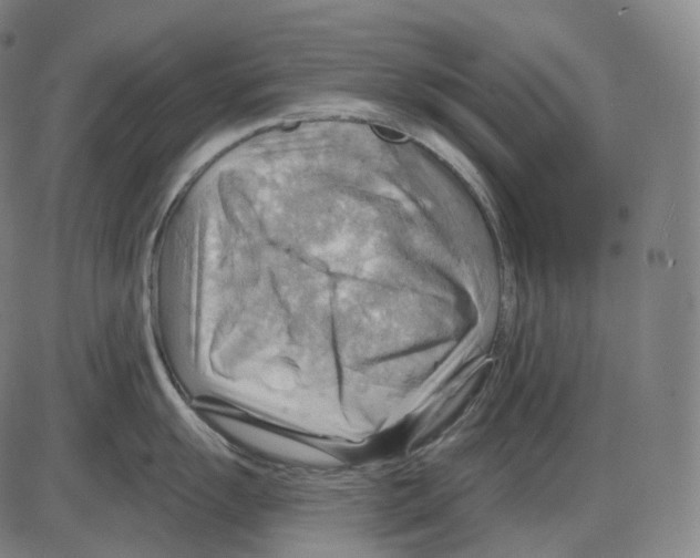 X0000083971055200703161526