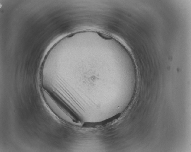 X0000083971056200703161526