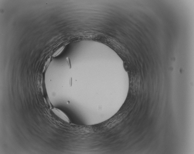 X0000083971058200703161525