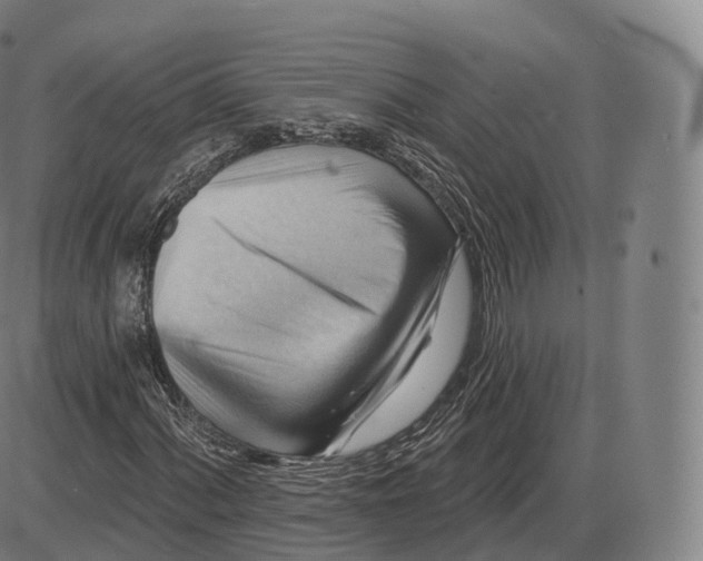 X0000083971060200703161525