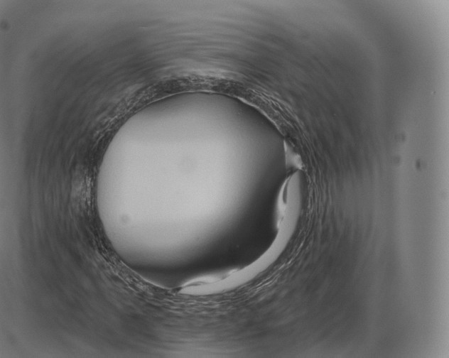 X0000083971061200703161525