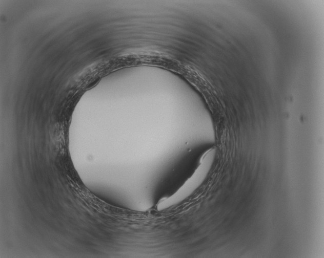 X0000083971062200703161525