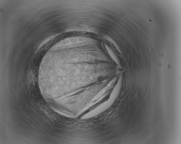 X0000083971064200703161525