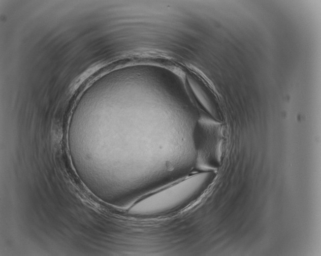 X0000083971065200703161525