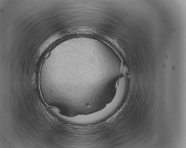 X0000083971066200703161525