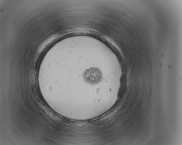 X0000083971067200703161525